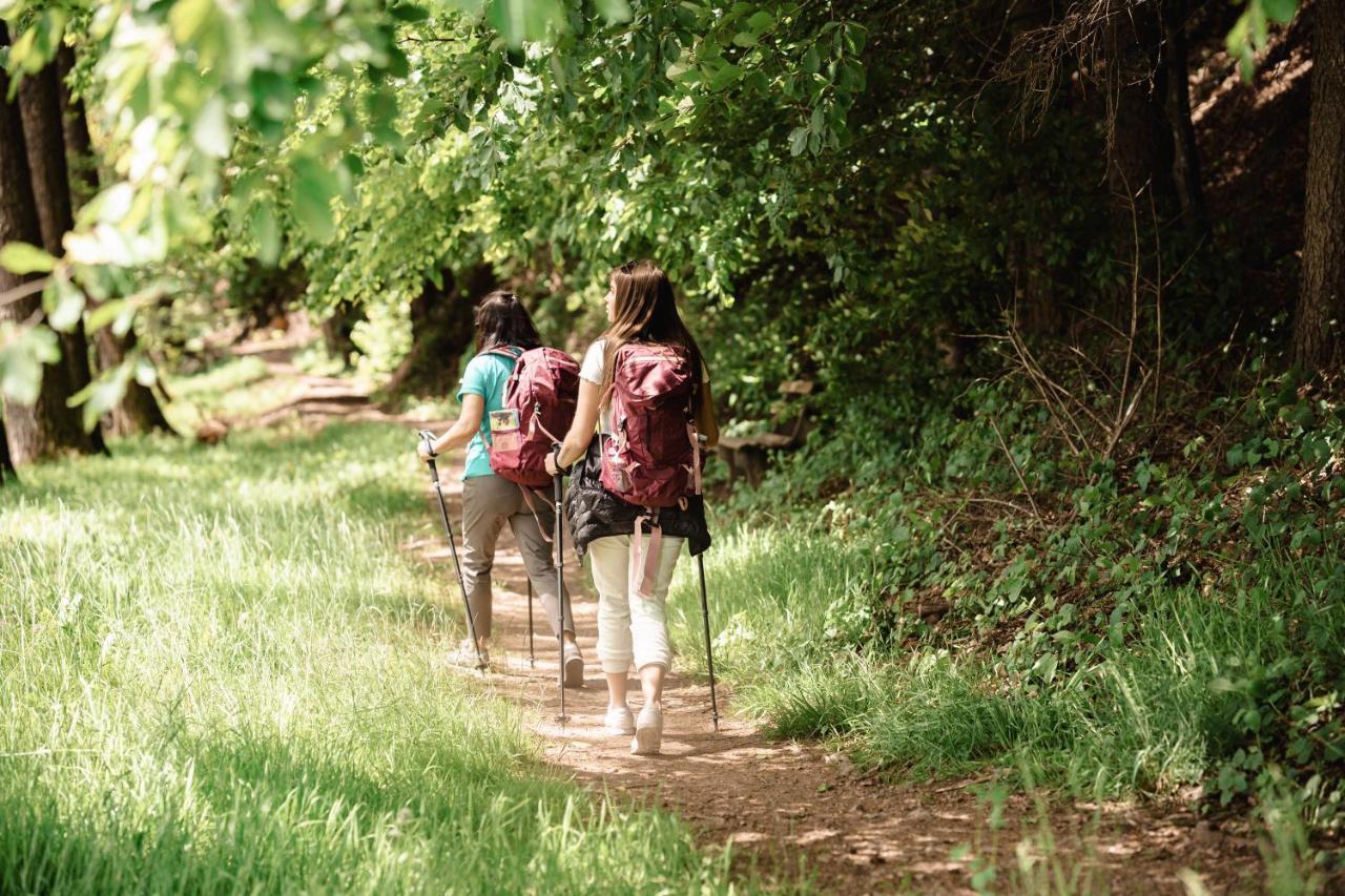 Wellness Pension Am Rain Winden im Elztal Εξωτερικό φωτογραφία